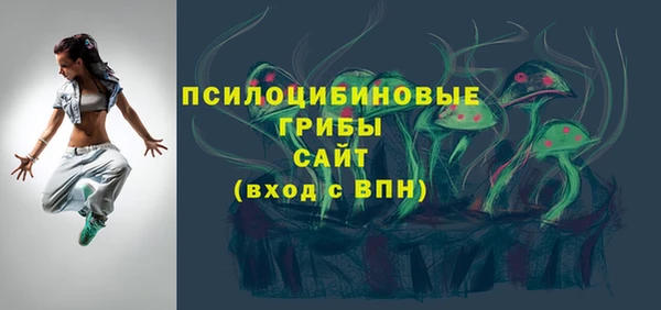спиды Кулебаки
