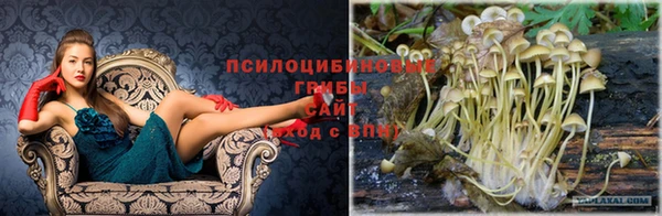 каннабис Куйбышев