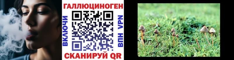 Псилоцибиновые грибы MAGIC MUSHROOMS Купить Лесосибирск